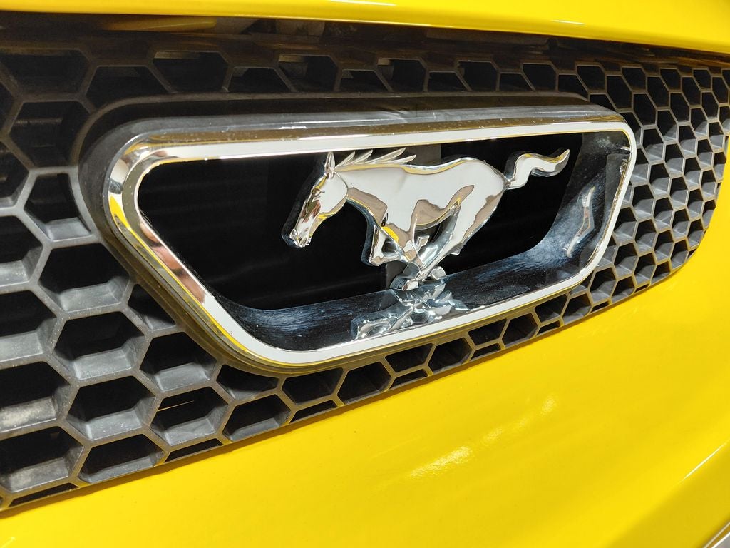 2004 Ford Mustang GT